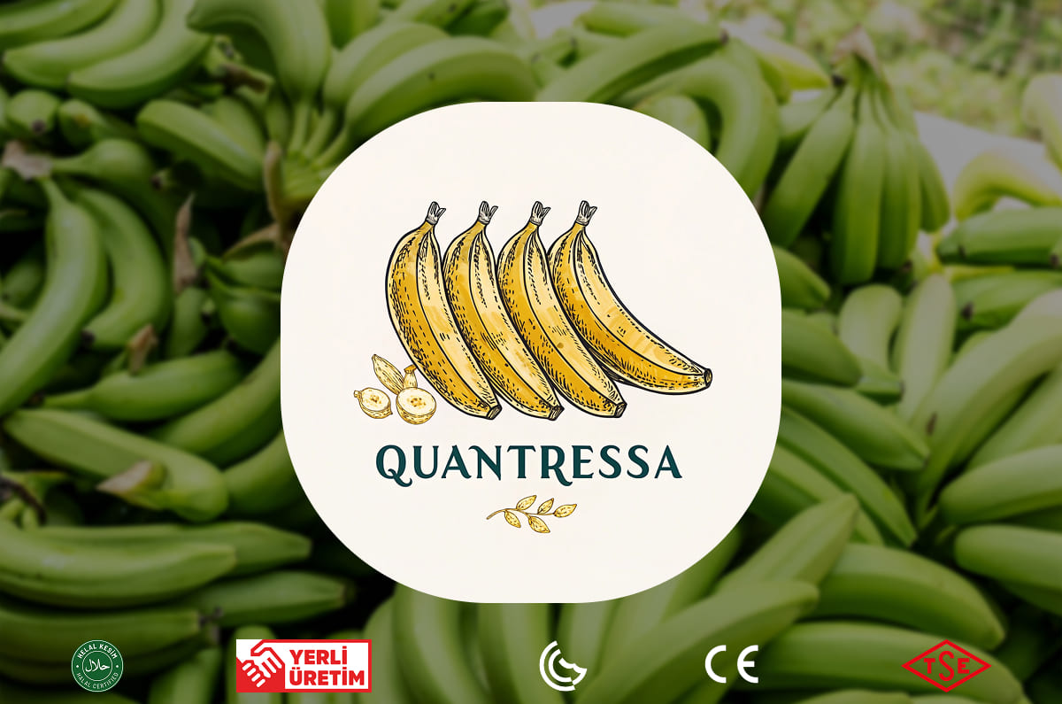 Quantressa muz tarlası ve çalışanları